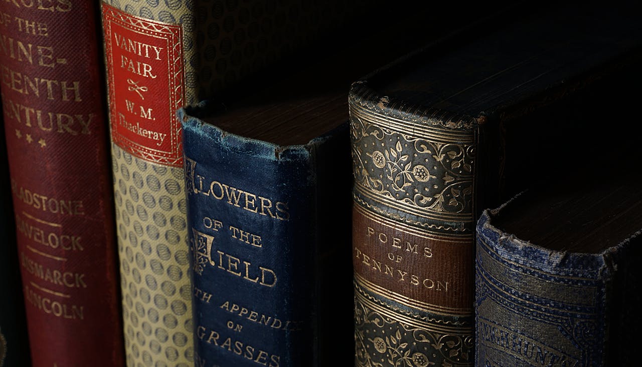 Close-up of vintage classic books with ornate covers on a bookshelf. Ideal for literature lovers.